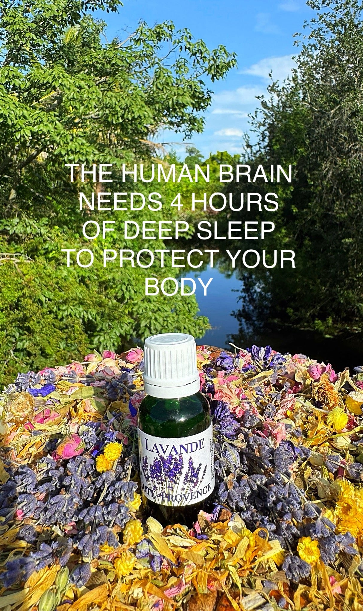 Sleep Lavender Essential Oil
