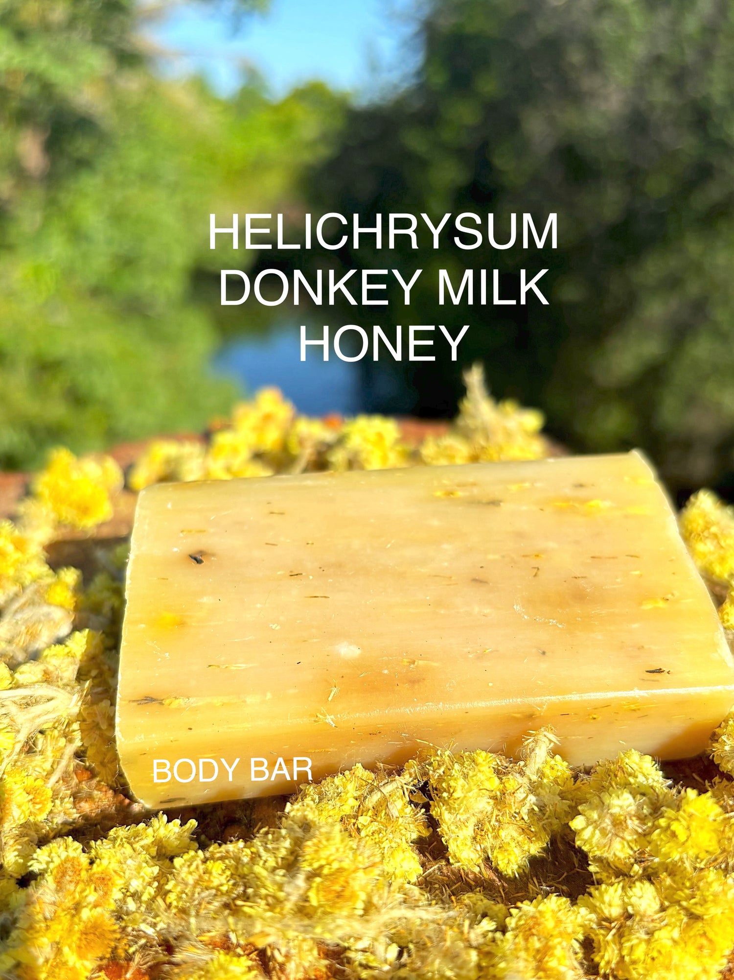 Helichrysum Donkey Milk Soap