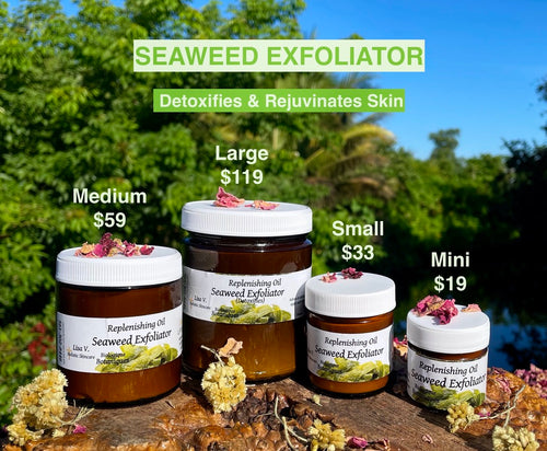 Seaweed Exfoliator (4 sizes)